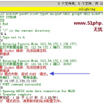 分析虚拟主机连接/登录FTP时很慢的原因  image0019 150x150